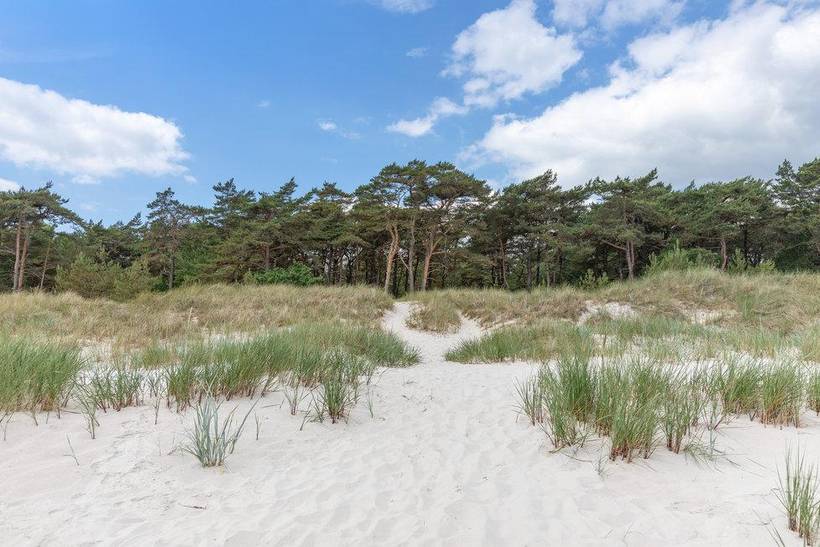 Foto von Ferienhaus YX05 in Dueodde - Bornholm