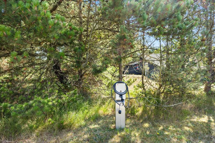 Foto von Ferienhaus YX11 in Blåvand - Westjütland
