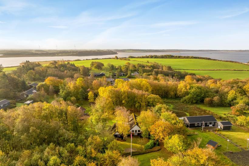 Foto von Ferienhaus YX82 in Salling - Thy/Limfjord