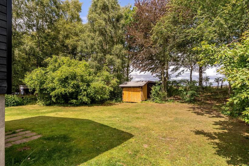 Foto von Ferienhaus YX82 in Salling - Thy/Limfjord