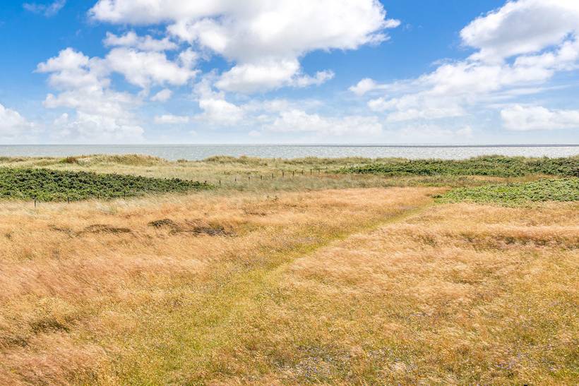 Foto von Ferienhaus YX96 in Blåvand - Westjütland
