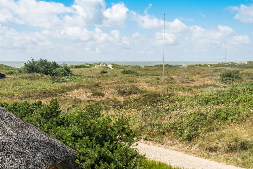 Foto von Ferienhaus YX96 in Blåvand - Westjütland