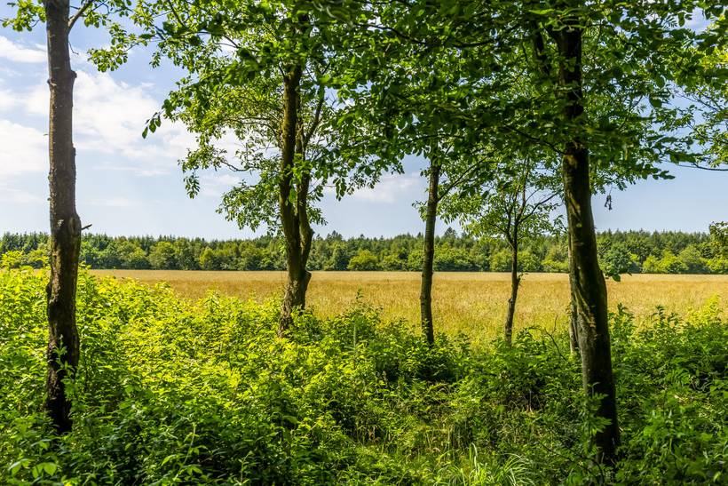 Foto von Ferienhaus YY25 in Arrild - Südjütland