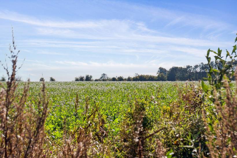 Foto von Ferienhaus ZB64 in Hasmark - Nordfünen
