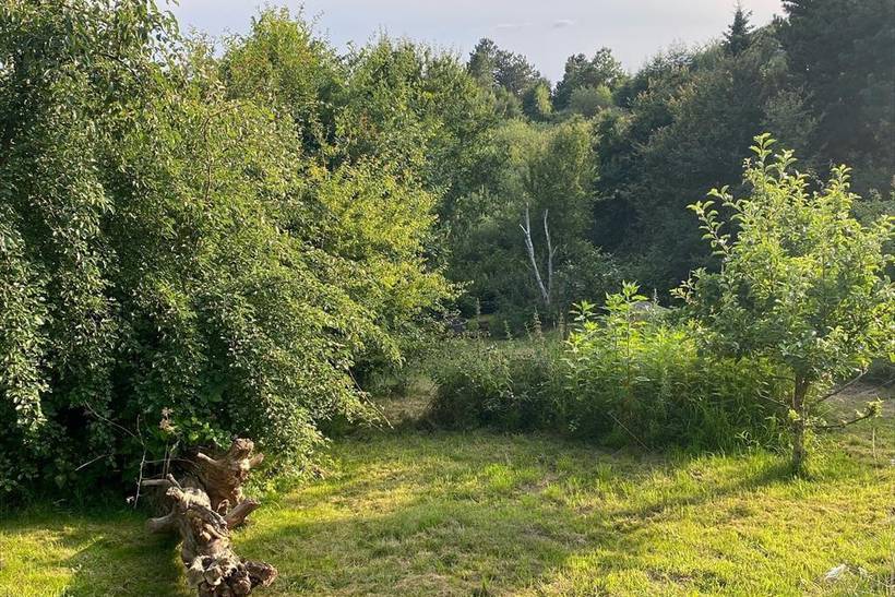 Foto von Ferienhaus ZB94 in Mols - Ostjütland