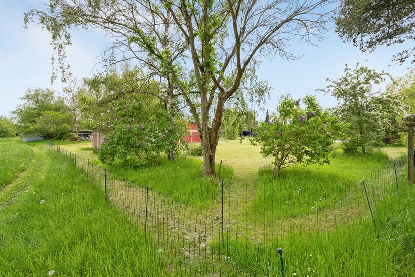 Foto von Ferienhaus ZD26 in Ebeltoft - Ostjütland