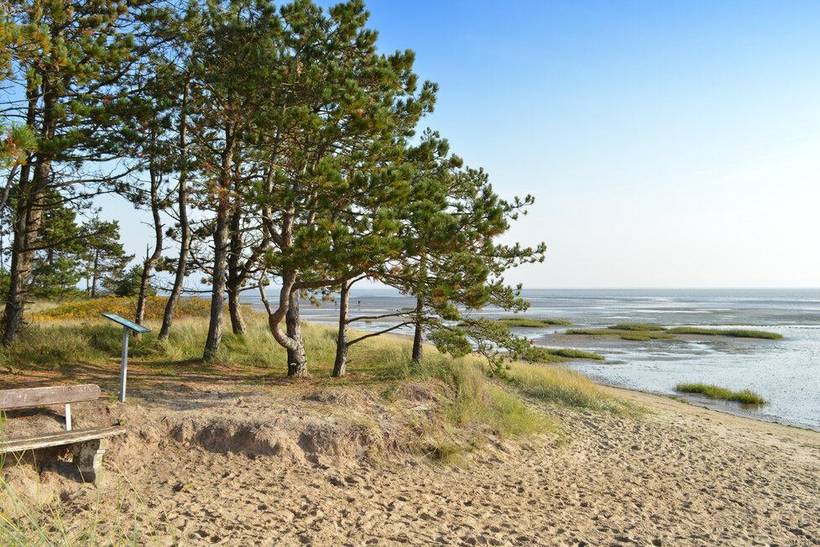 Foto von Ferienhaus ZD47 in Sønderstrand - Rømø