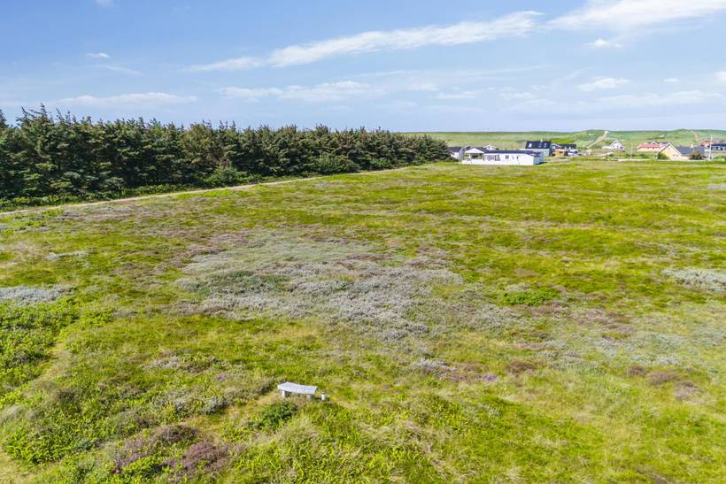 Foto von Ferienhaus ZD93 in Vrist - Vejlby Klit - Westjütland