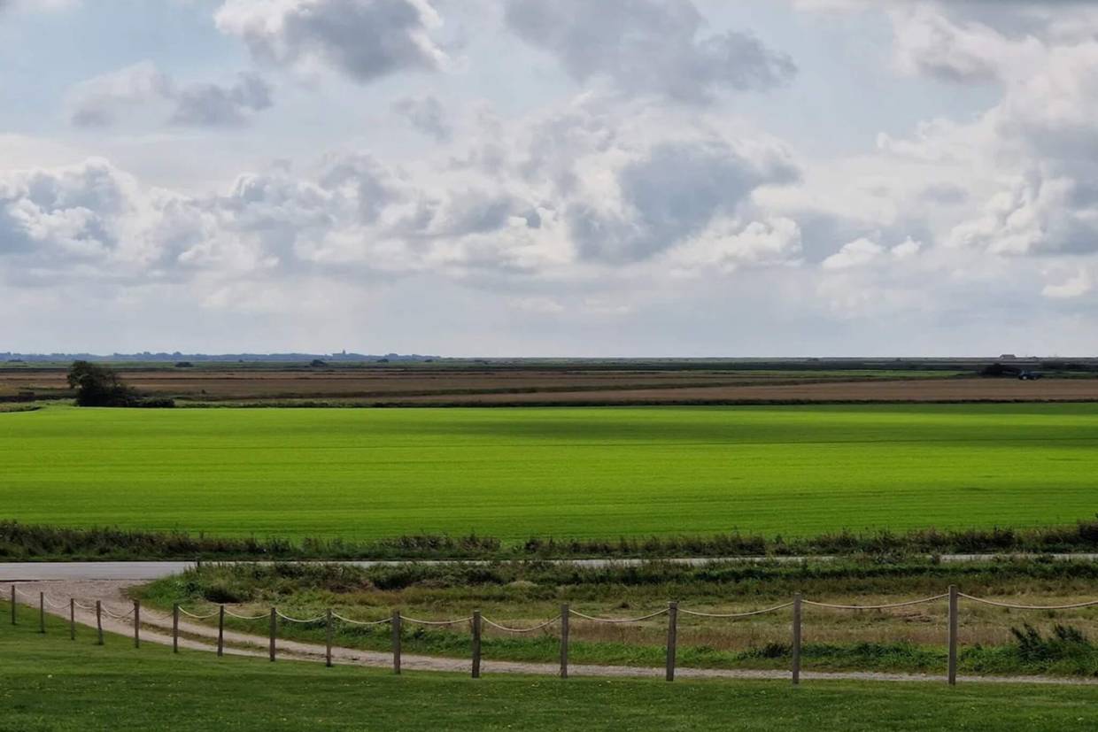 Foto von Ferienhaus ZD94 in Skærbæk - Südjütland