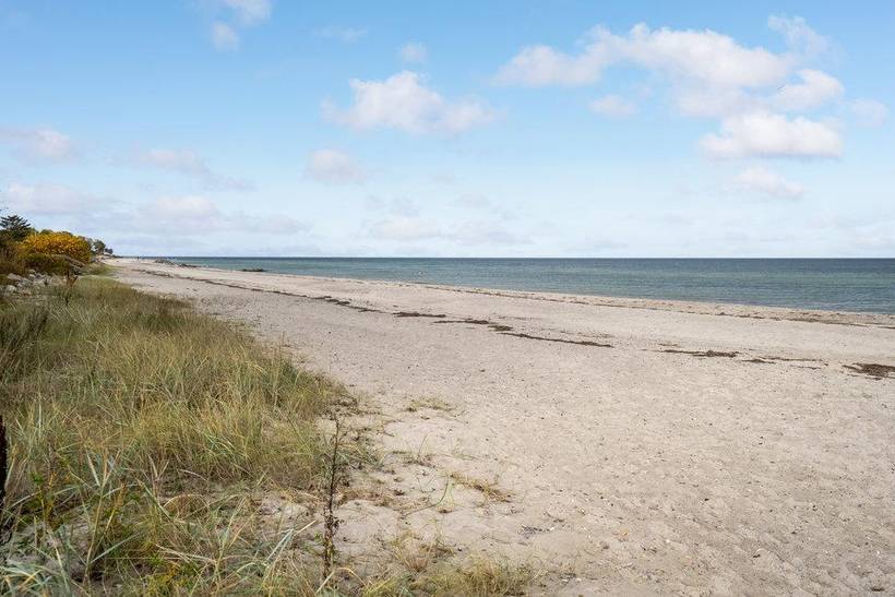 Foto von Ferienhaus ZE80 in Tørresø - Nordfünen