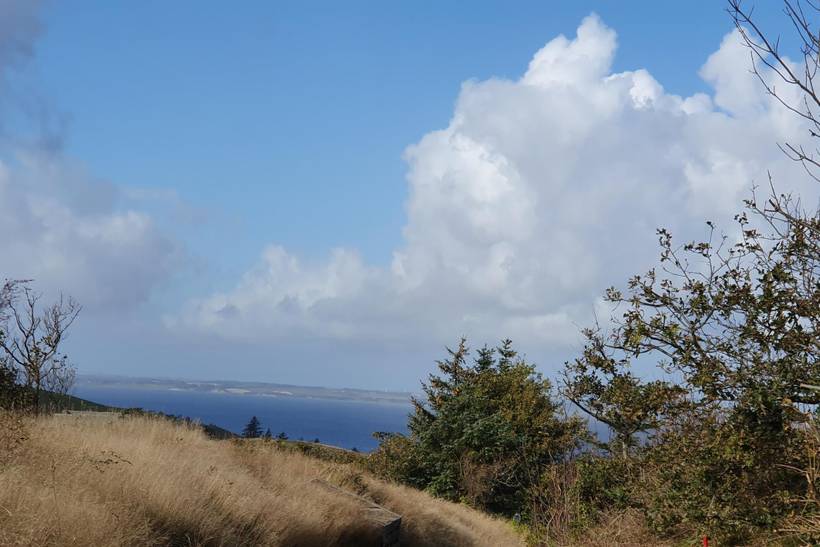 Foto von Ferienhaus ZF20 auf Mors - Thy/Limfjord