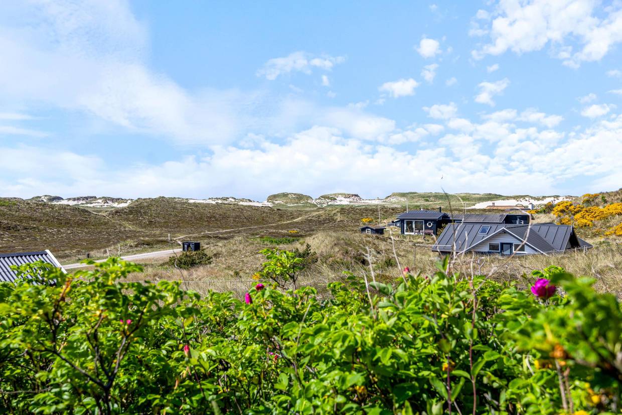 Foto von Ferienhaus ZF53 in Skodbjerge - Bjerregård - Westjütland