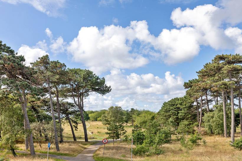 Foto von Ferienhaus ZH09 auf Rønne - Bornholm