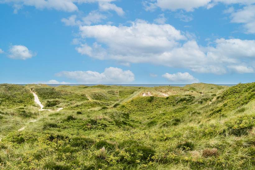 Foto von Ferienhaus ZI49 in Henne Strand - Westjütland