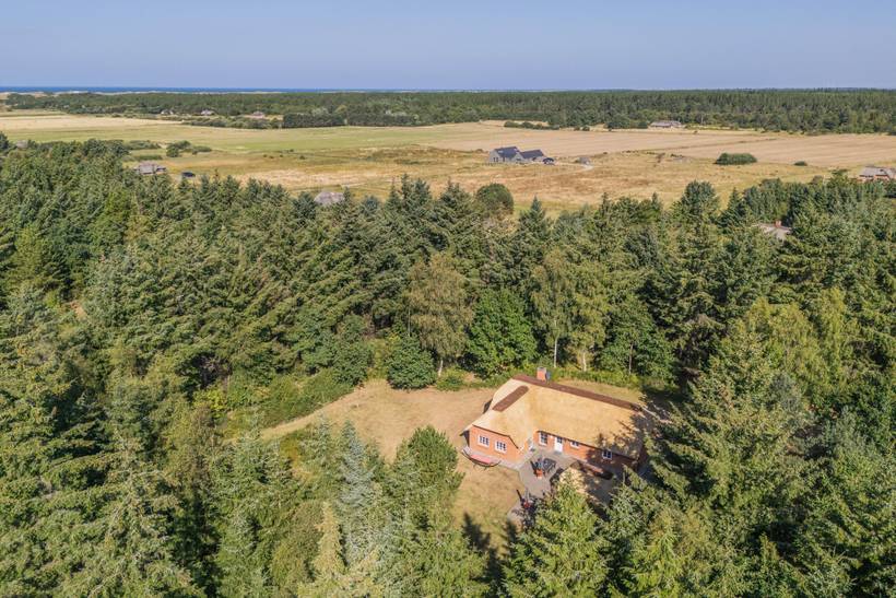 Foto von Ferienhaus ZI78 in Vester Husby - Westjütland