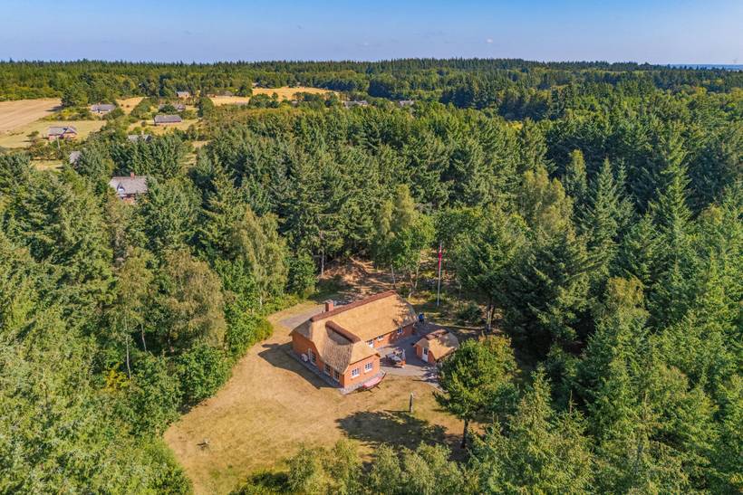 Foto von Ferienhaus ZI78 in Vester Husby - Westjütland