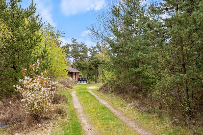 Foto von Ferienhaus ZI81 in Nymindegab - Bjerregård - Westjütland