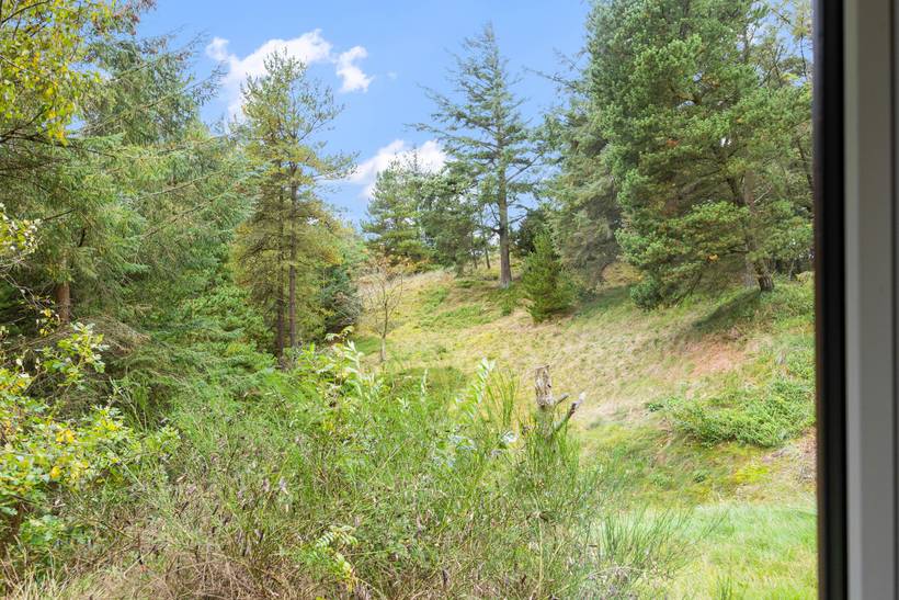 Foto von Ferienhaus ZI81 in Nymindegab - Bjerregård - Westjütland