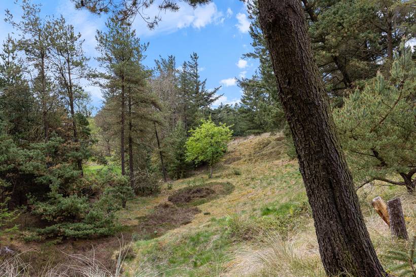 Foto von Ferienhaus ZI81 in Nymindegab - Bjerregård - Westjütland
