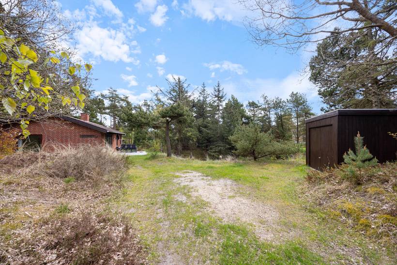 Foto von Ferienhaus ZI81 in Nymindegab - Bjerregård - Westjütland