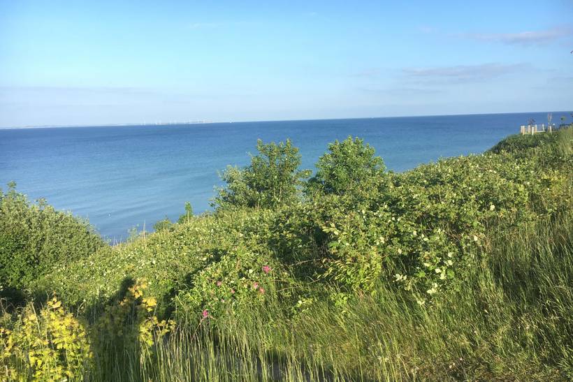 Foto von Ferienhaus ZI96 in Rude - Odder - Ostjütland
