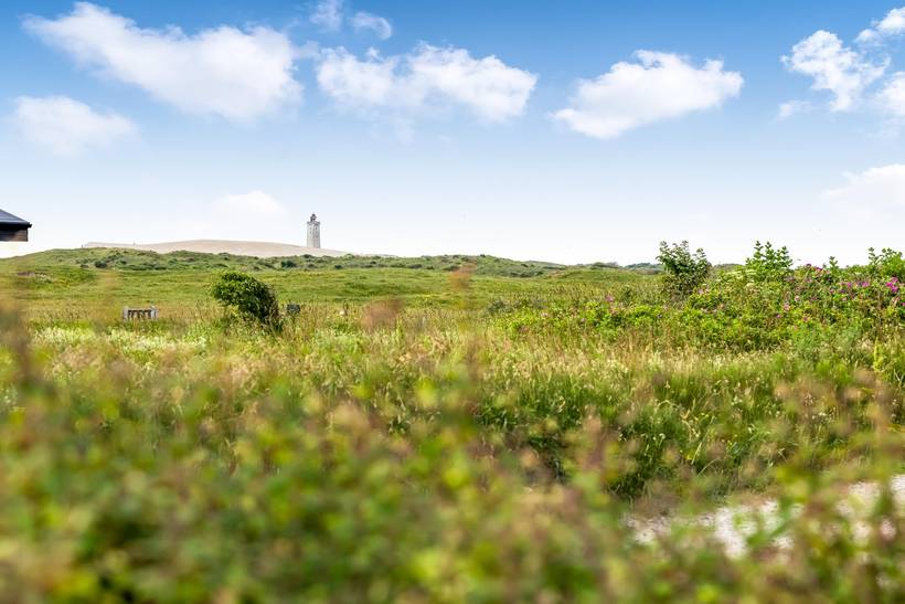 Foto von Ferienhaus ZJ35 in Lønstrup - Nordjütland