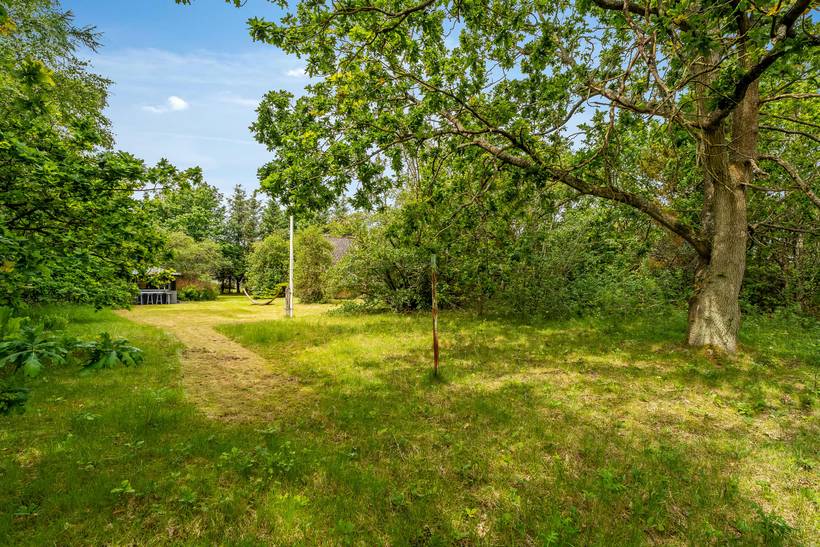 Foto von Ferienhaus ZJ67 in Hou - Nordjütland Ost