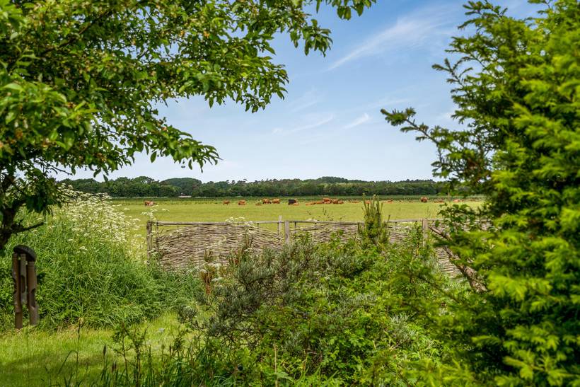 Foto von Ferienhaus ZJ94 in Hou - Nordjütland Ost