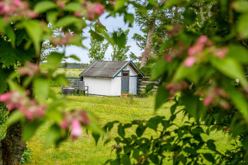 Foto von Ferienhaus ZJ94 in Hou - Nordjütland Ost