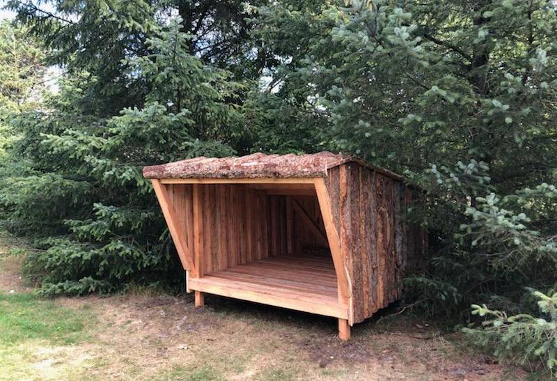 Foto von Ferienhaus ZL87 in Saltum - Blokhus - Nordjütland