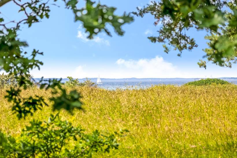 Foto von Ferienhaus ZM31 in Kegnæs - Als