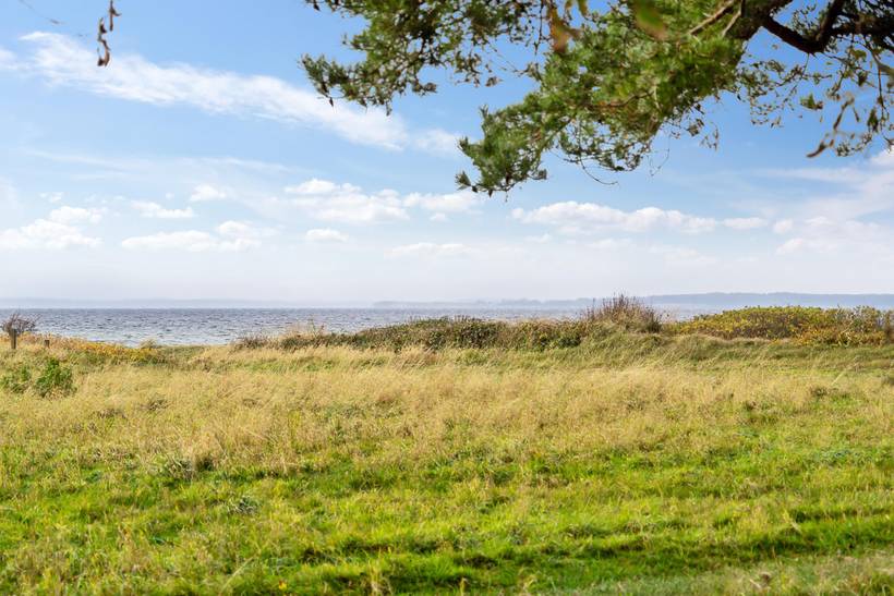 Foto von Ferienhaus ZM31 in Kegnæs - Als