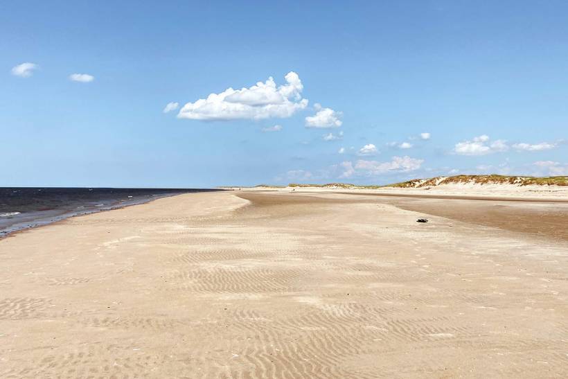 Foto von Ferienhaus ZM43 in Sønderstrand - Rømø