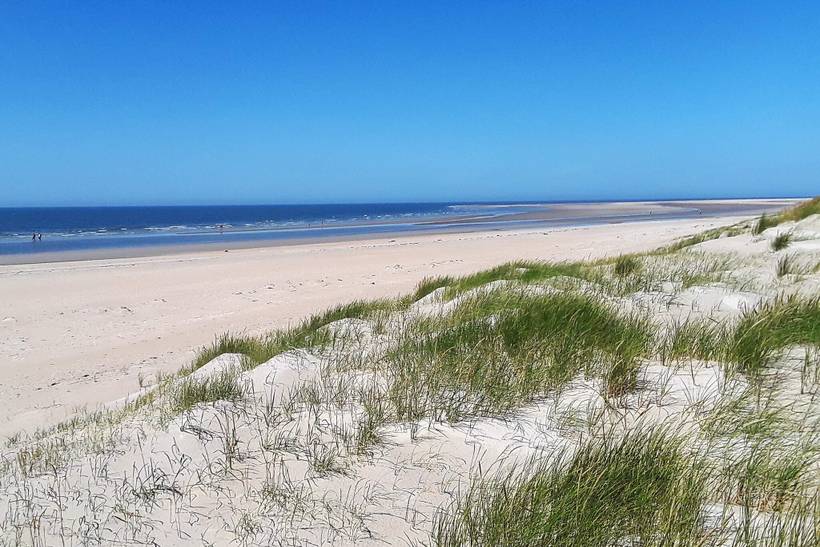 Foto von Ferienhaus ZM43 in Sønderstrand - Rømø