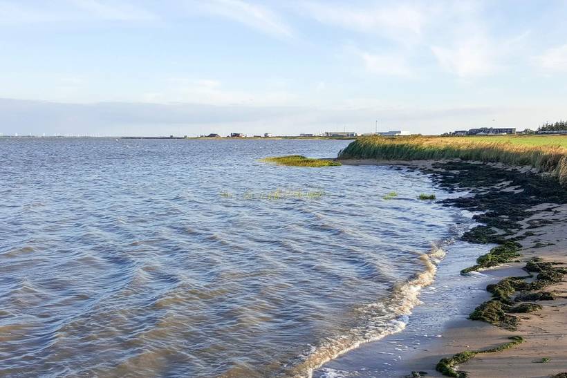 Foto von Ferienhaus ZM43 in Sønderstrand - Rømø