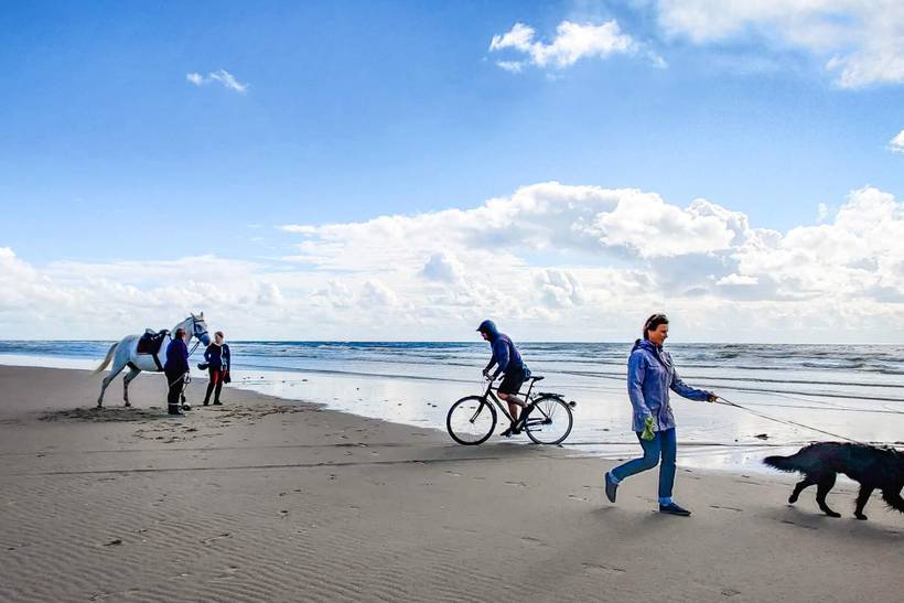 Foto von Ferienhaus ZM43 in Sønderstrand - Rømø