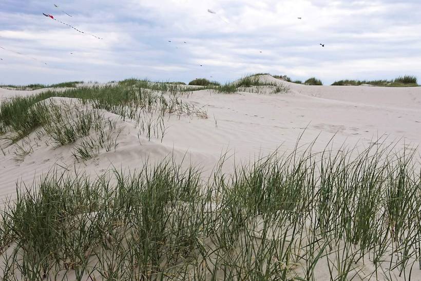 Foto von Ferienhaus ZM43 in Sønderstrand - Rømø