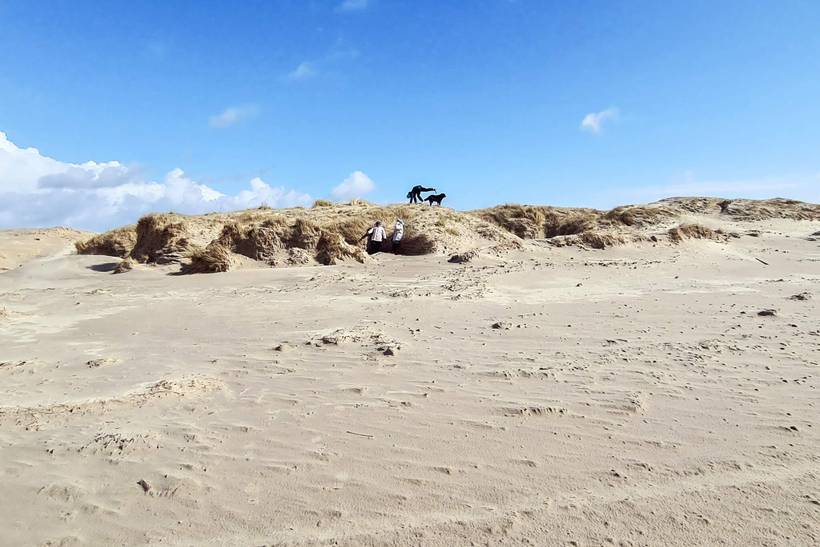 Foto von Ferienhaus ZM43 in Sønderstrand - Rømø
