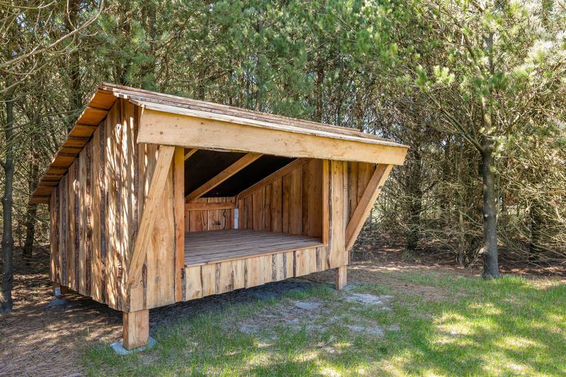 Foto von Ferienhaus ZM63 in Blåvand - Westjütland