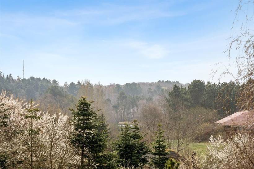Foto von Ferienhaus ZN20 in Ebeltoft - Ostjütland