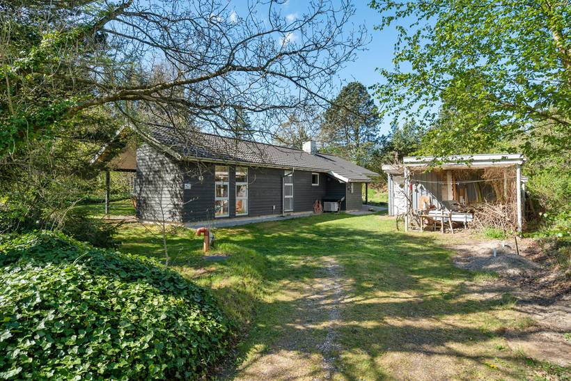 Foto von Ferienhaus ZN28 in Trend - Thy/Limfjord
