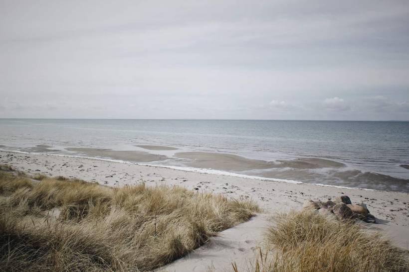 Foto von Ferienhaus ZN31 in Byrum - Læsø