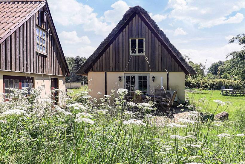 Foto von Ferienhaus ZN31 in Byrum - Læsø