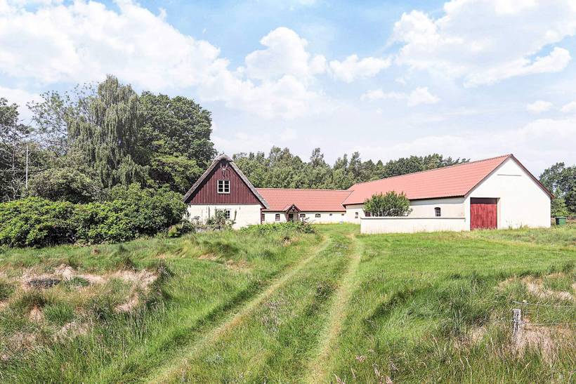 Foto von Ferienhaus ZN31 in Byrum - Læsø