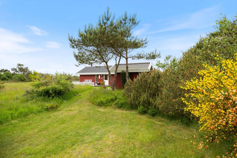 Foto von Ferienhaus ZN85 in Lodbjerg Hede - Søndervig - Westjütland