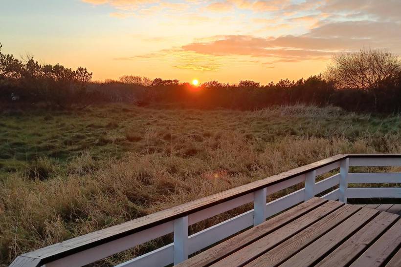Foto von Ferienhaus ZN85 in Lodbjerg Hede - Søndervig - Westjütland