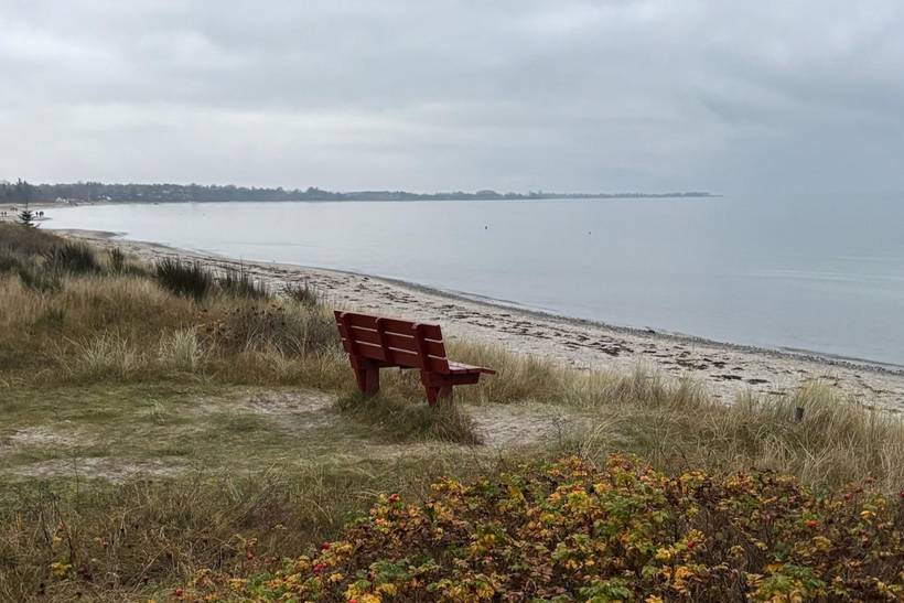 Foto von Ferienhaus ZO25 in Saksild - Odder - Ostjütland