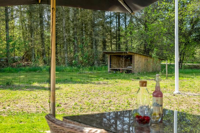 Foto von Ferienhaus ZO57 in Grønhøj - Løkken - Nordjütland