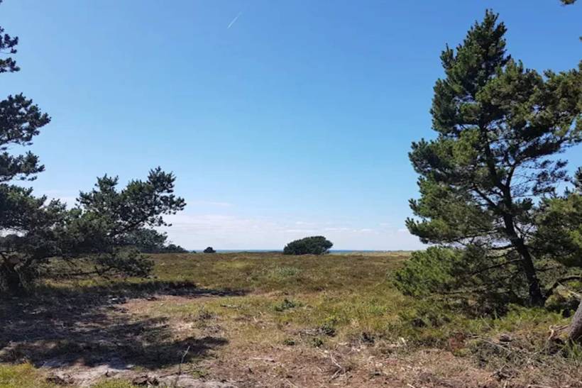 Foto von Ferienhaus ZO93 in Vesterø - Læsø