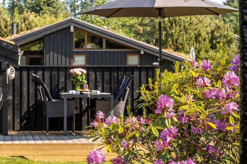 Foto von Ferienhaus ZP36 in Blokhus - Nordjütland